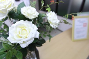 office20169.jpg