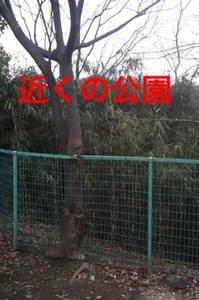 ooopp写真.jpg