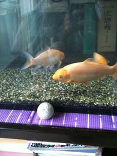 image-20100387224303.png